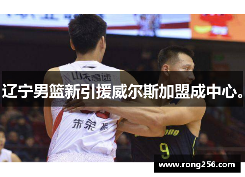 辽宁男篮新引援威尔斯加盟成中心。